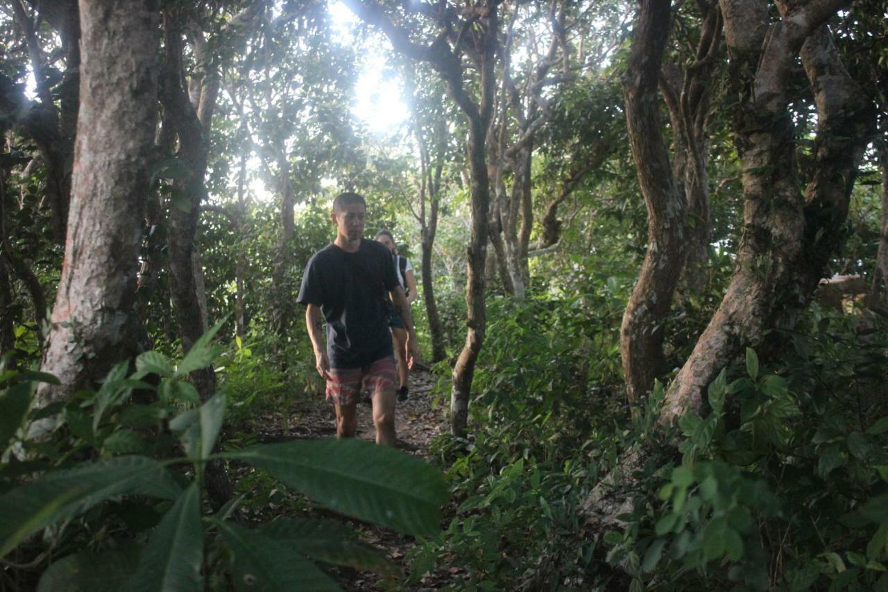 タオ島 Black Woodホステル エクステリア 写真